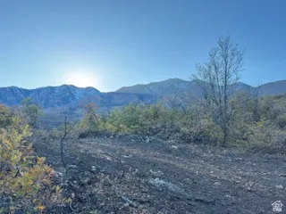 Driveway onto property. Mountain view