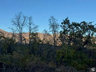 View of mountain background