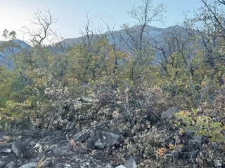 View of mountain backdrop
