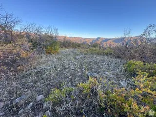 View of undeveloped land