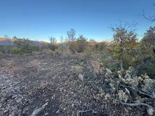 View of nature