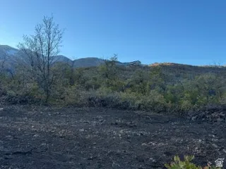 Nice flat property.  View of mountain background