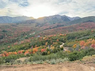 View of mountain background