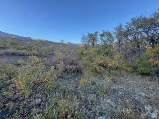 Mountain view with a heavily wooded area