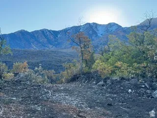 Driveway on top.  View of mountain background