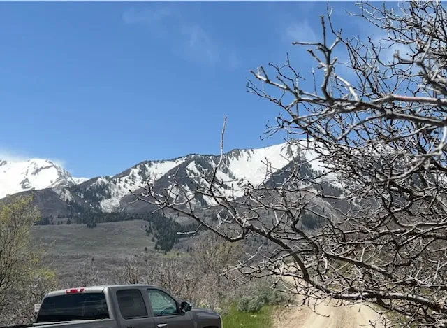 View of mountain background