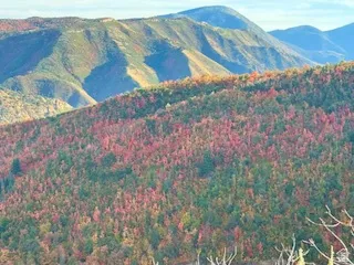 Mountain view