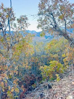View of mountain background