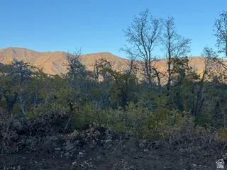 View of mountain backdrop