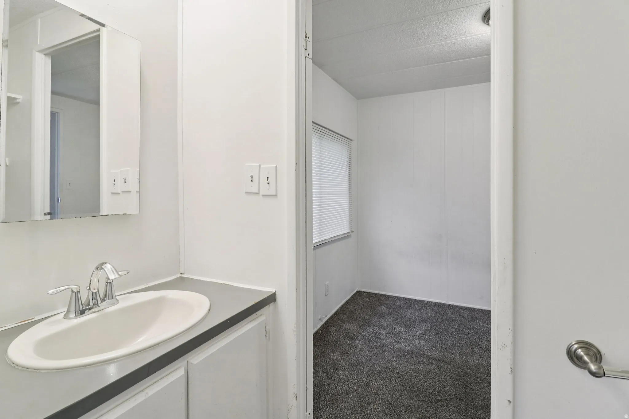 Bathroom featuring dark colored carpet and vanity