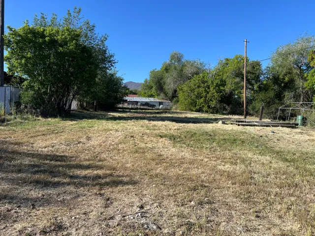 Expansive lot featuring mature trees and partial chain-link fencing