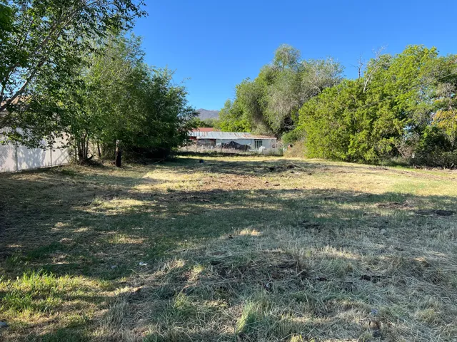 Expansive lot featuring a mix of natural grass and cleared areas, surrounded by mature trees