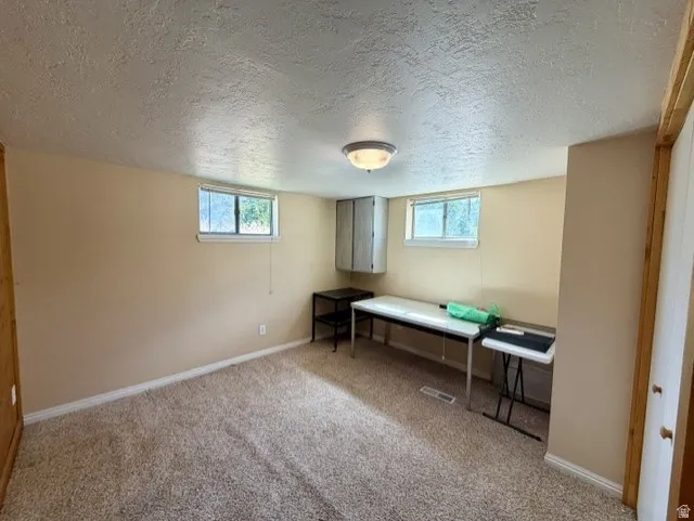 Bedroom  #5 featuring light carpet and lots of natural light, built-in cabinetry