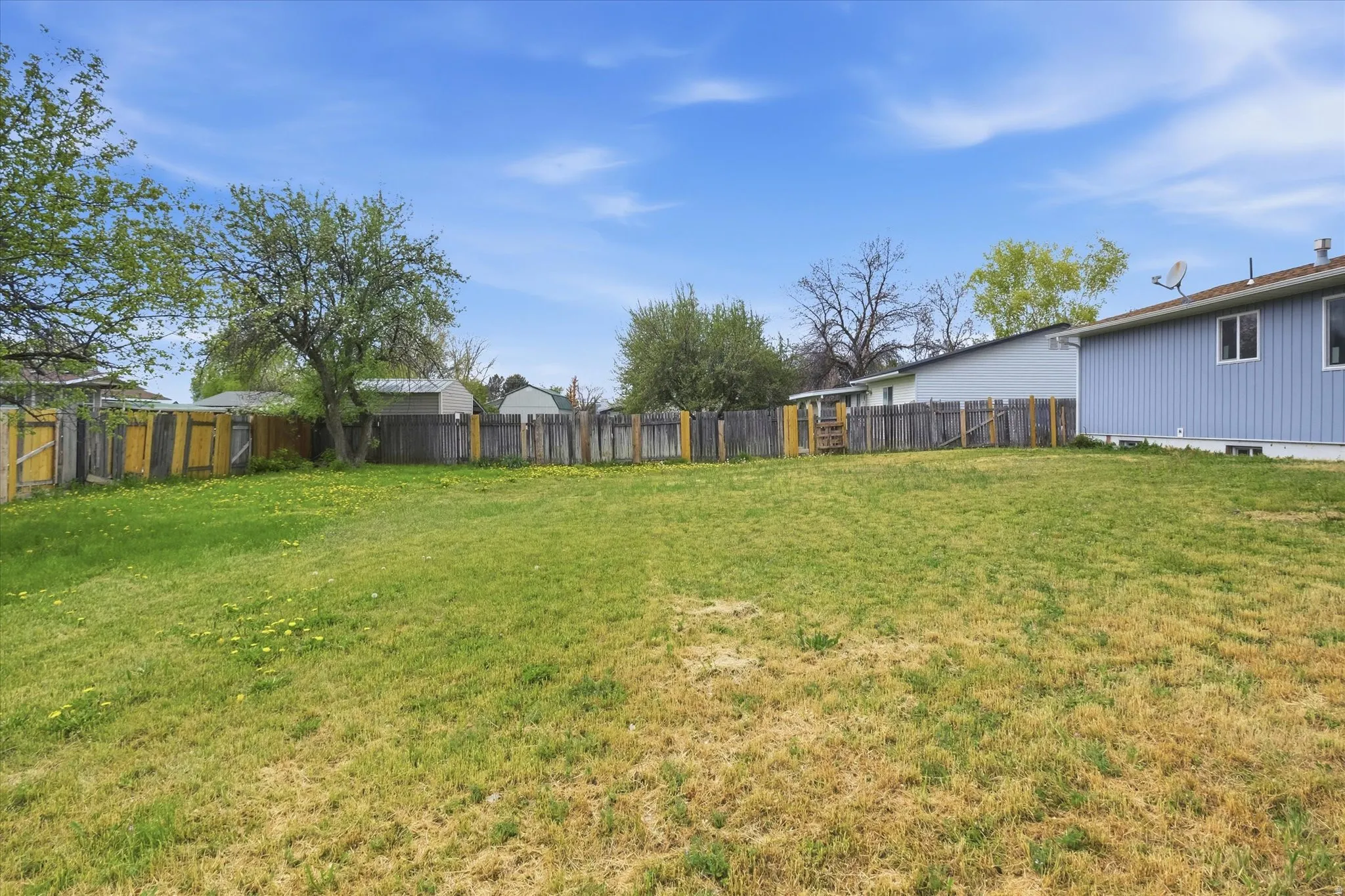 View of fenced backyard