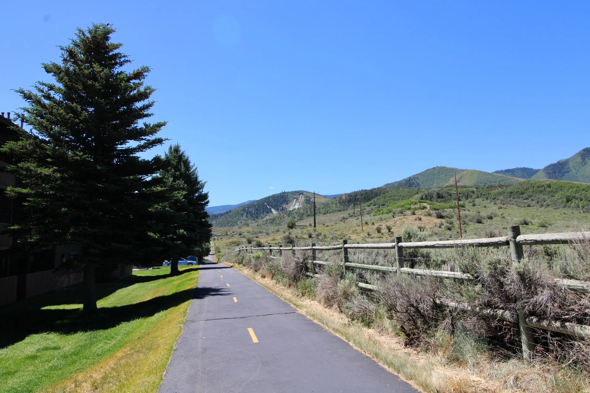 Paved pathway bordered by mature evergreen trees and a rustic wooden fence