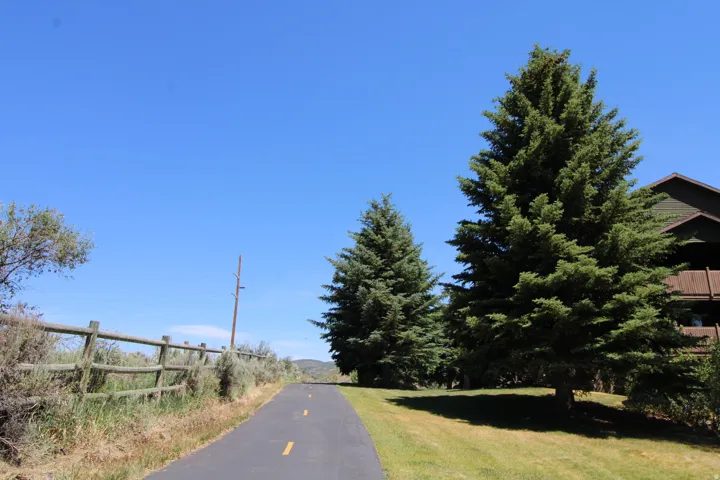 Paved pathway bordered by a rustic wooden fence and mature evergreen trees