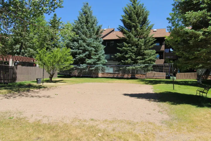 Sand court with a net, bordered by green lawn and mature trees