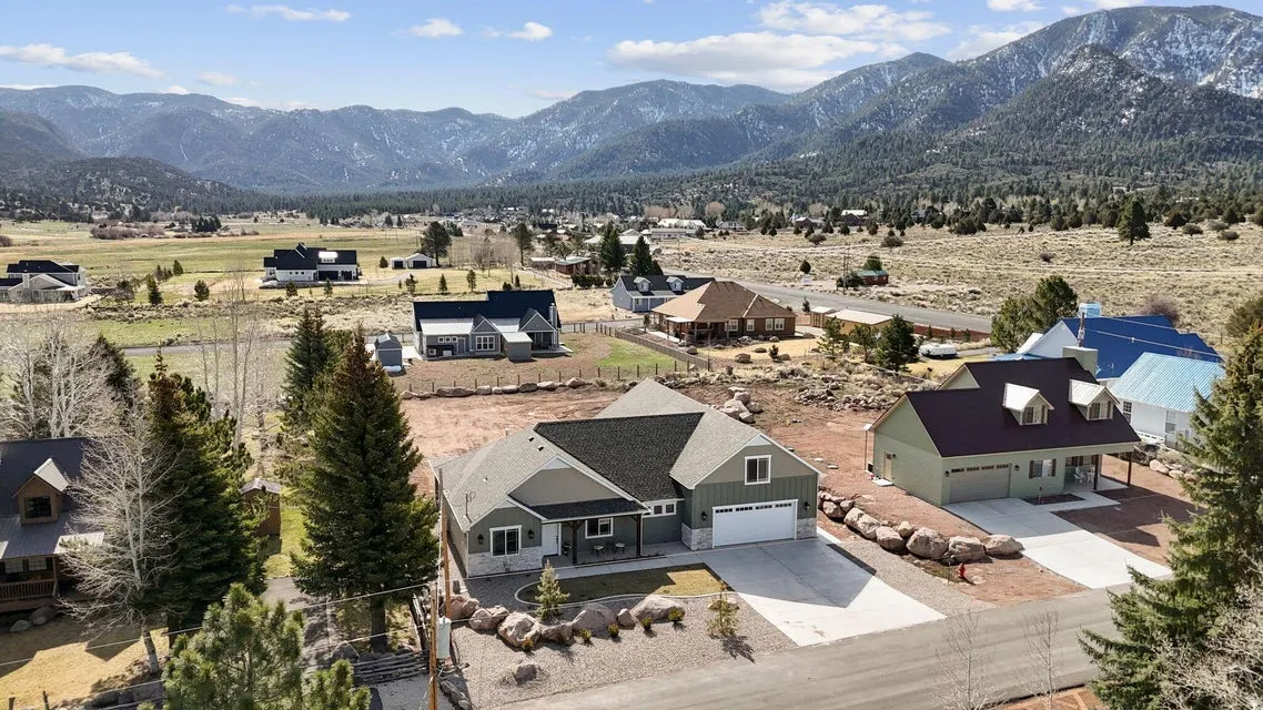 Aerial perspective of suburban area featuring a mountainous background