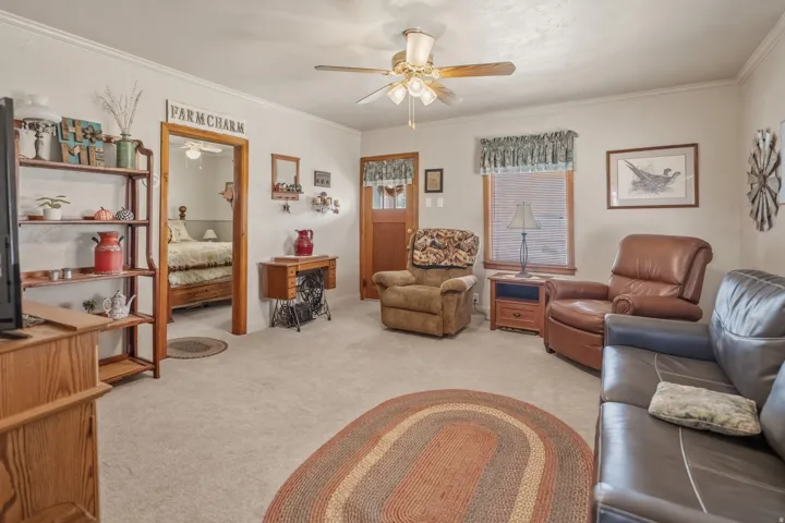 Living area featuring ceiling fan, light colored carpet, and crown molding