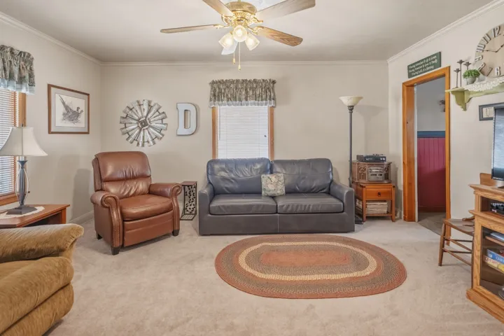 Living room with carpet floors, a ceiling fan, and crown molding