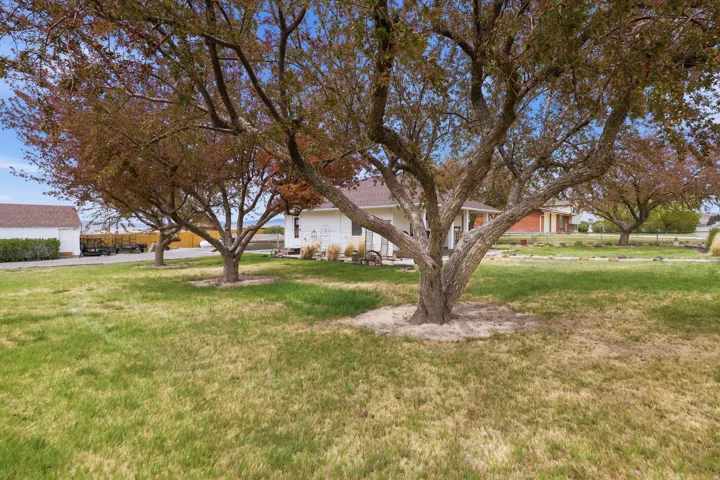 View of green lawn