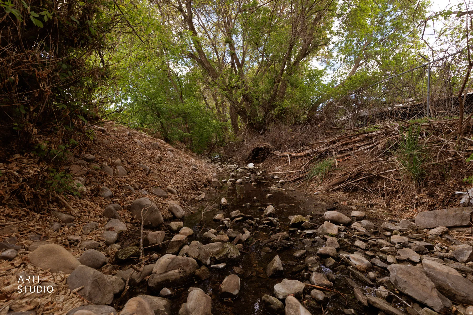 View of local wilderness