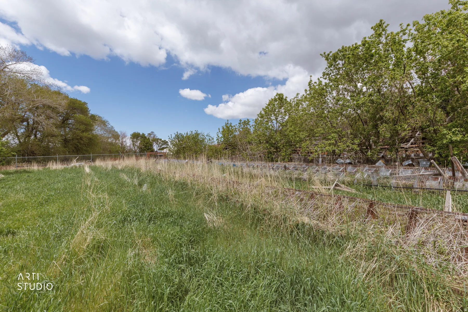 View of undeveloped land