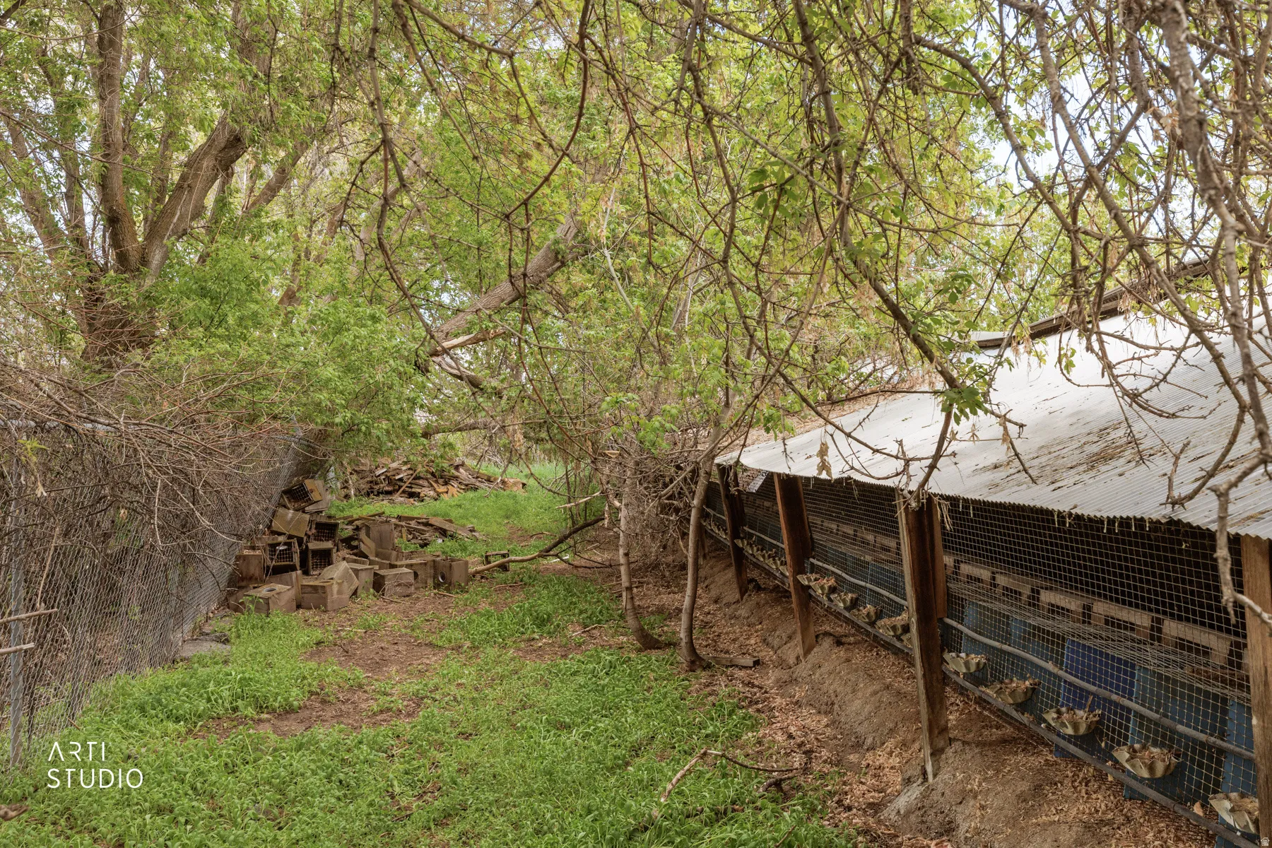 View of yard featuring an outbuilding