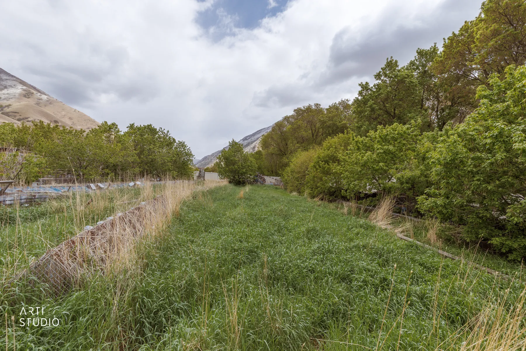 View of yard with a mountain view
