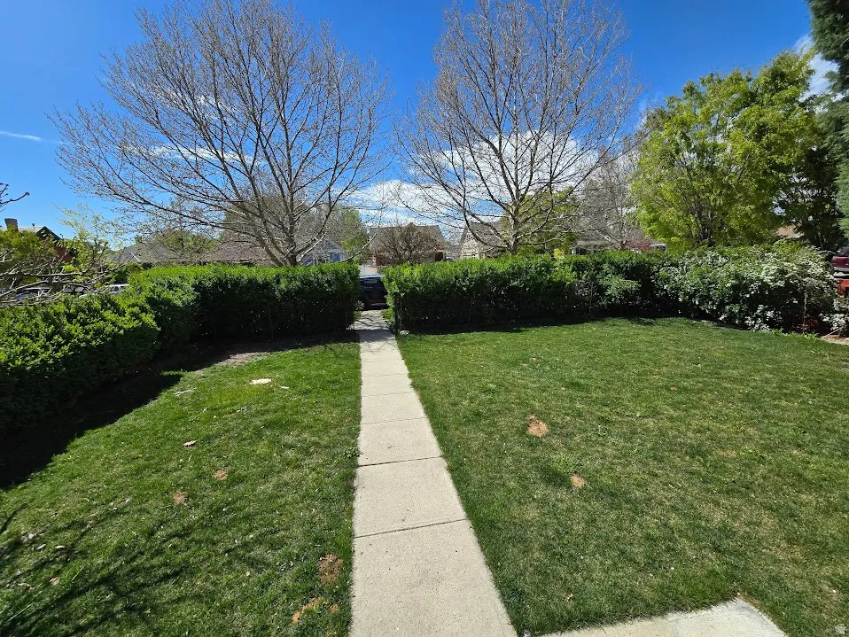 View of grassy yard