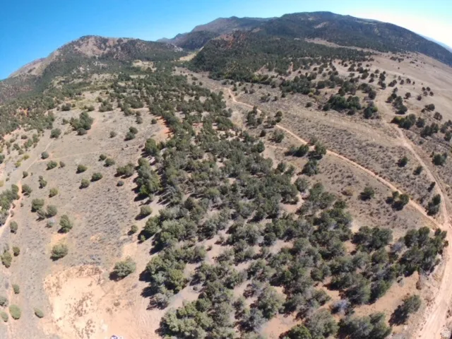 Expansive mountain terrain featuring natural vegetation, multiple clearings, and visible pathways