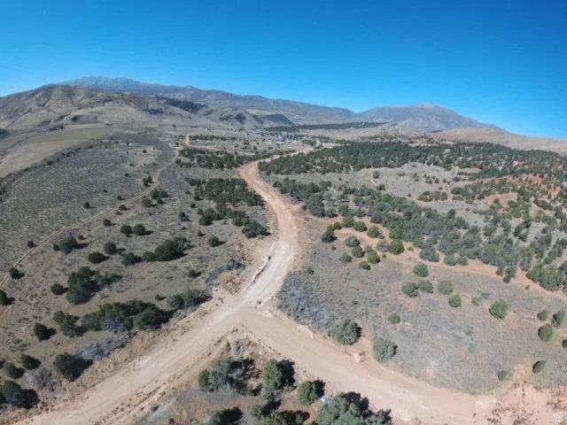 Expansive desert landscape featuring a dirt road, scattered green foliage, and distant mountains