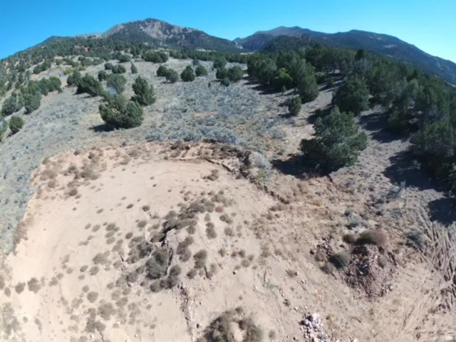 Expansive undeveloped land featuring natural terrain with scattered evergreen shrubs and distant mountain formations