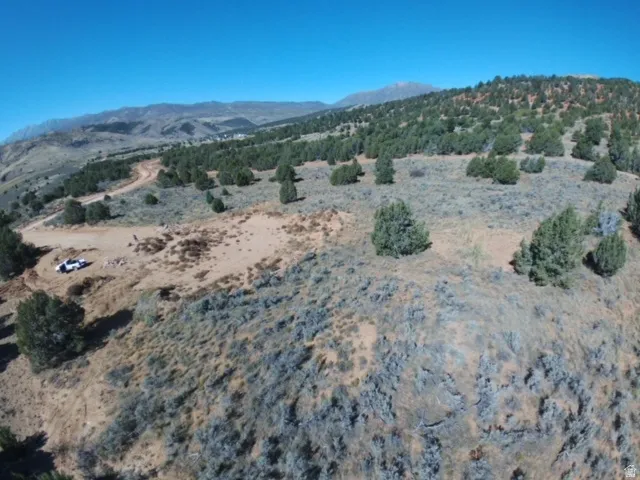 Expansive mountain property featuring varied terrain with natural shrubbery and scattered evergreen trees