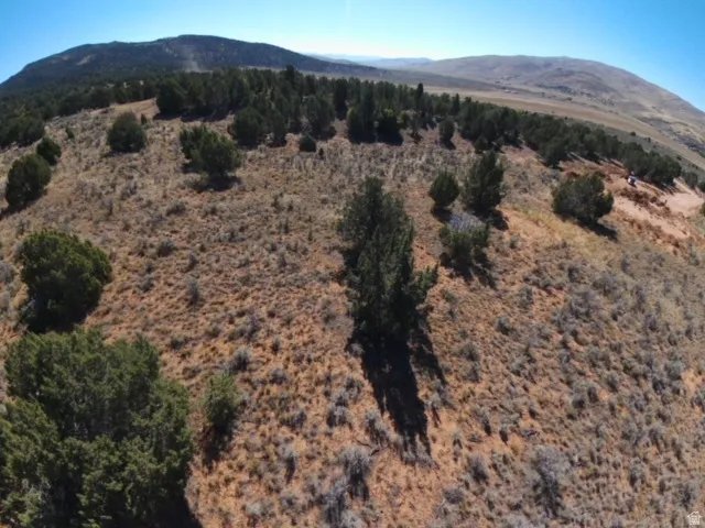 Expansive mountainous terrain featuring scattered evergreen trees and natural ground cover