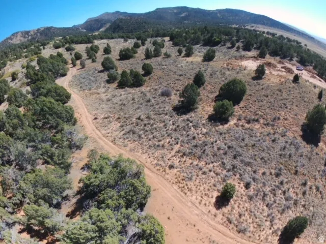 Expansive terrain featuring natural vegetation, scattered evergreen trees, and a visible dirt road