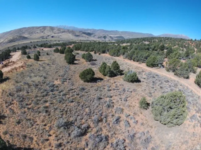 Expansive acreage featuring natural vegetation, scattered evergreen trees, and a distant mountain range under a clear sky