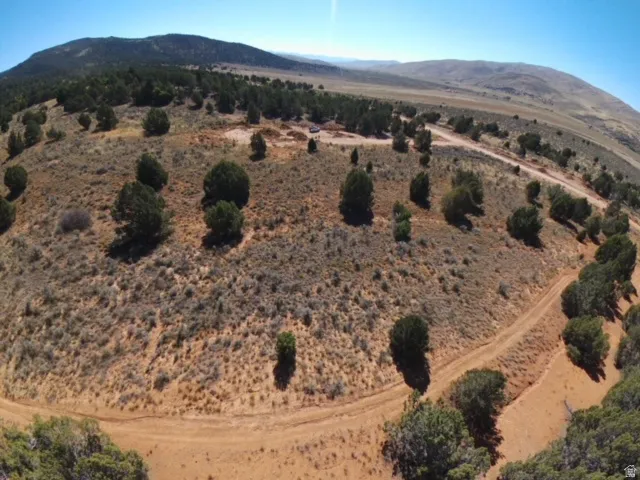 Expansive natural landscape featuring varied terrain, scattered evergreen trees, and visible dirt roads traversing the property