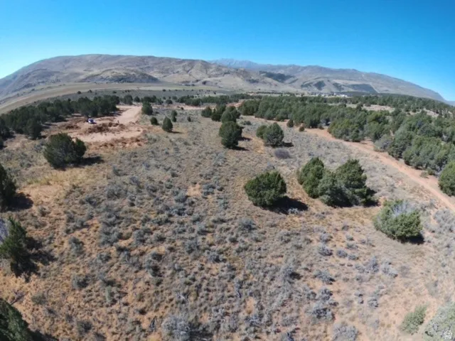 Expansive undeveloped land featuring natural terrain with scattered evergreen shrubs and trees