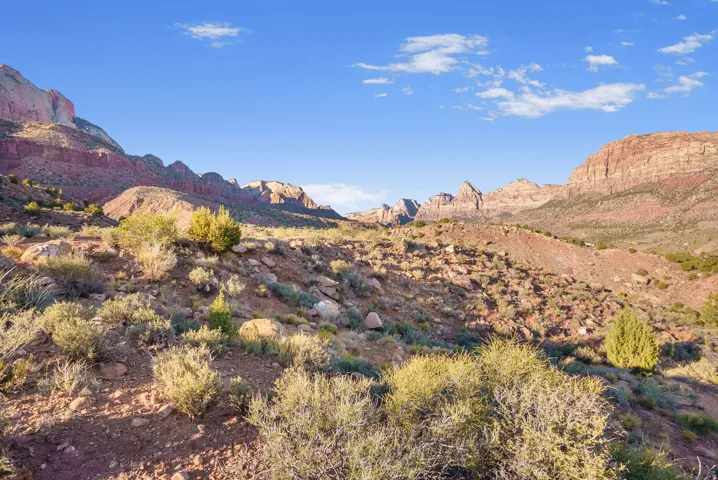 View of mountain backdrop