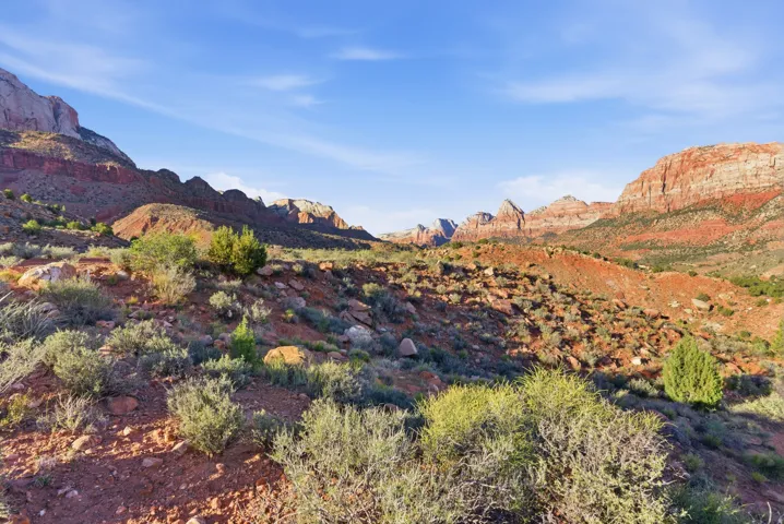 View of mountain background