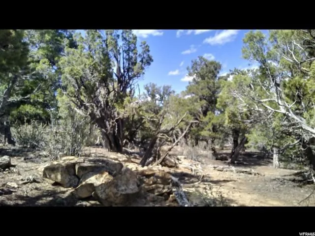 View of nature