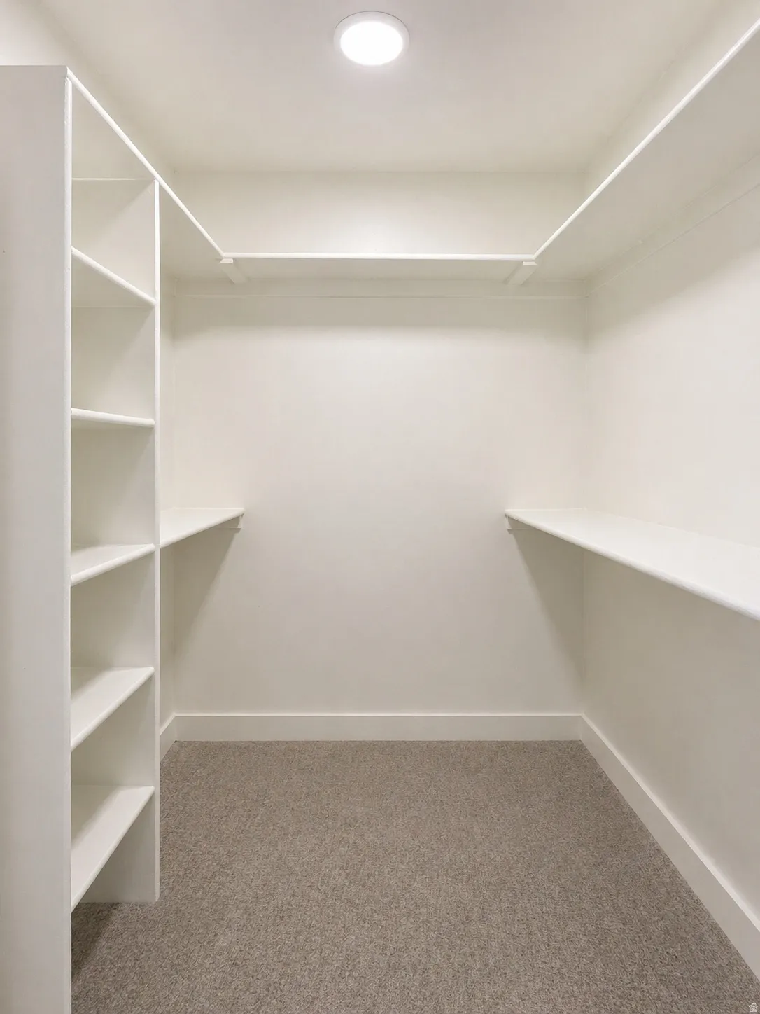 Walk in closet featuring light carpet