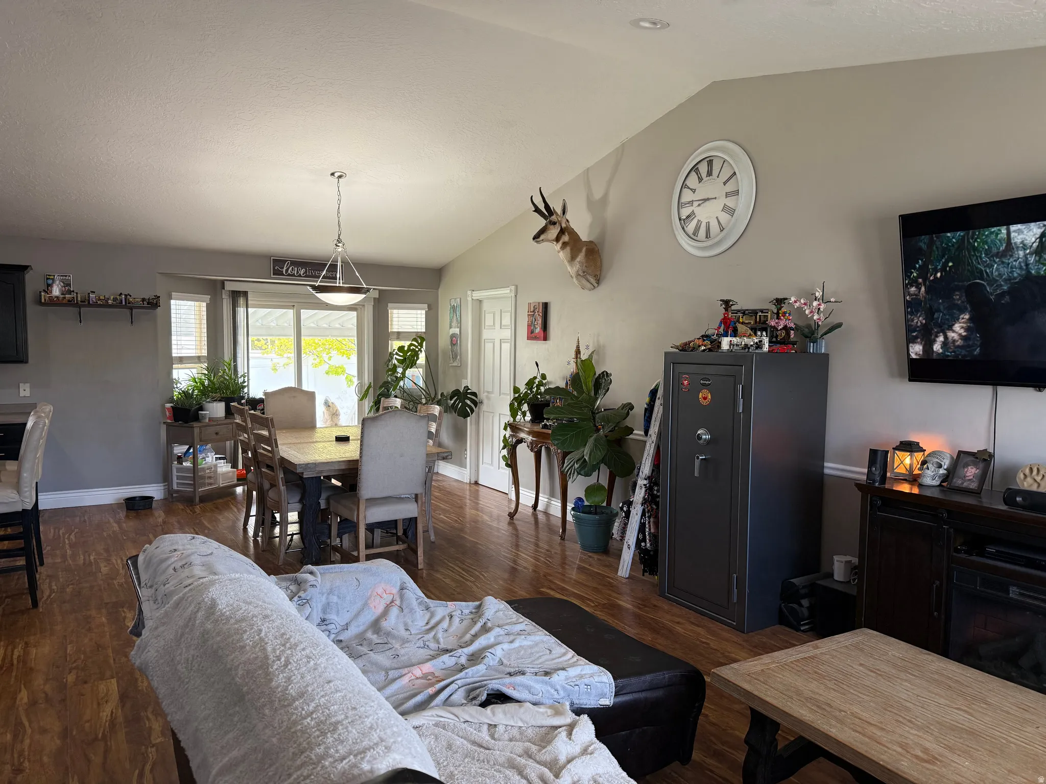 Living area featuring dark wood-style flooring and vaulted ceiling
