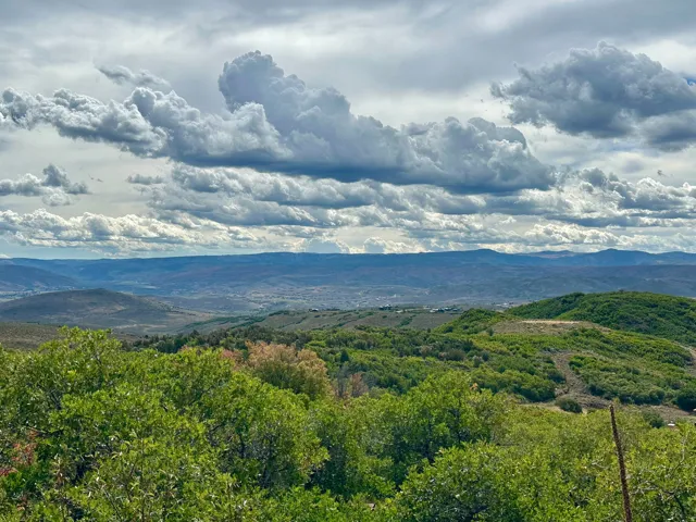 View of mountain backdrop featuring a heavily wooded area