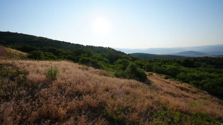View of mountain backdrop featuring a heavily wooded area