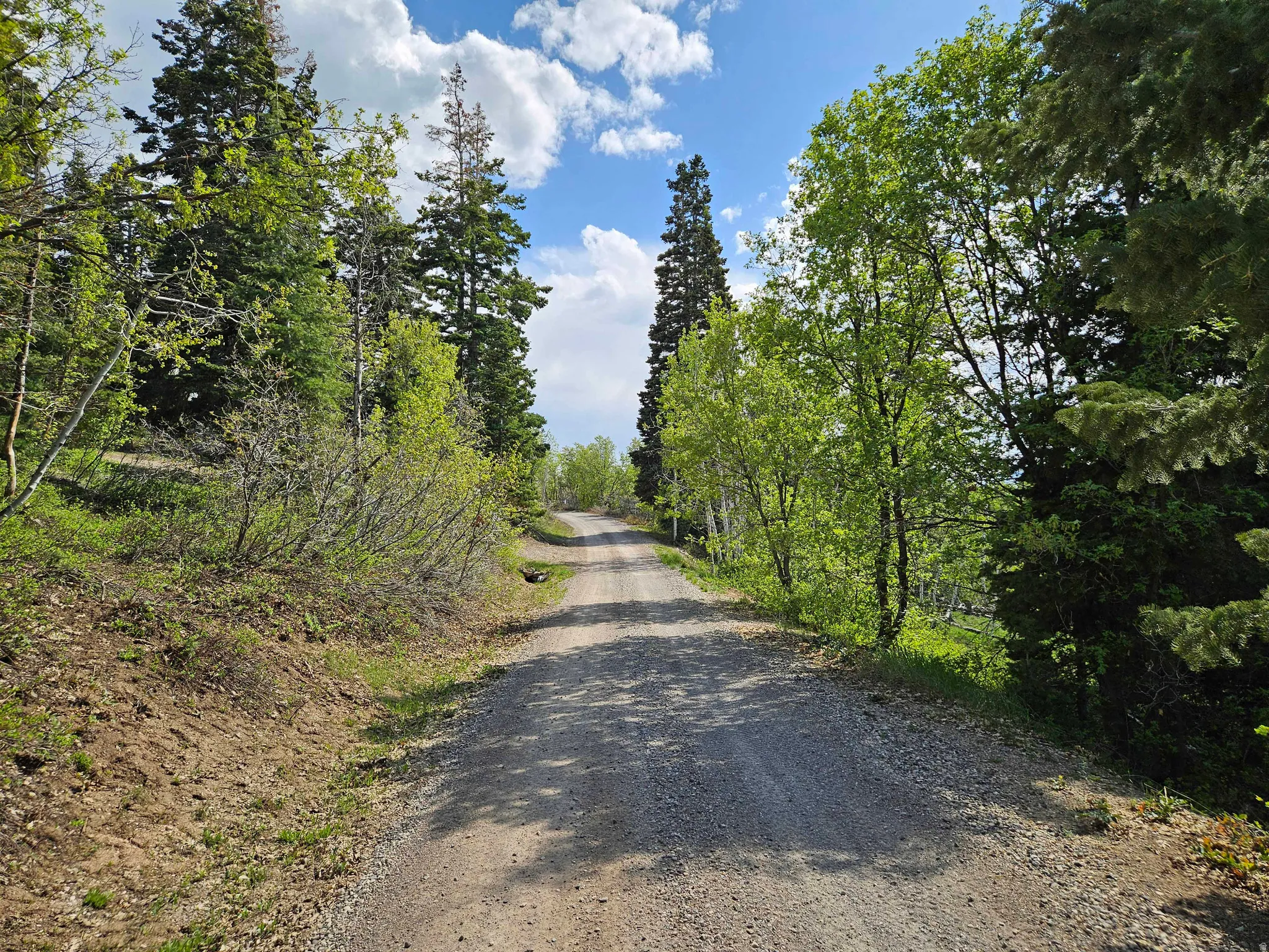 View of dirt / gravel road