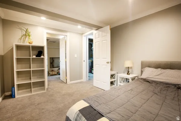 Bedroom with a walk in closet, ornamental molding, and light colored carpet
