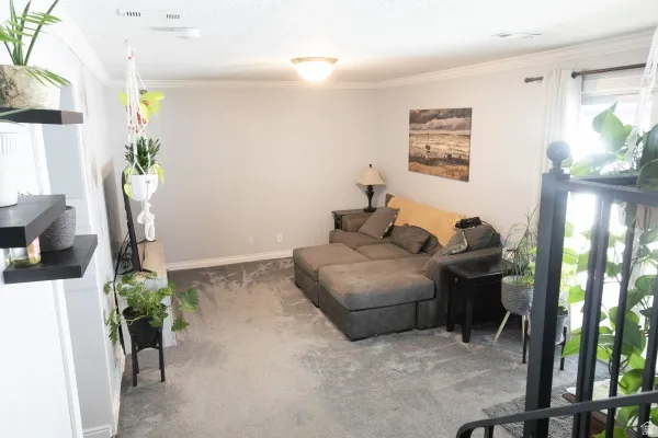 Living room with crown molding and carpet floors