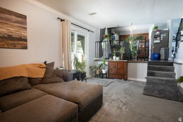 Carpeted living area featuring a textured ceiling and stairway